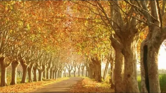 harmonia mundi story 5