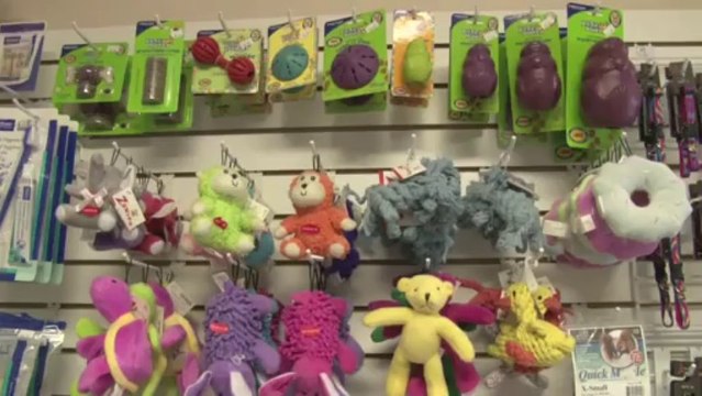 Welcome to River Oaks Veterinary Clinic & Boarding Kennels