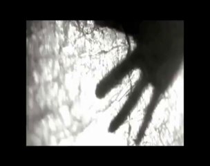 Maria Grazia Vai - Accompagnandoti le impronte