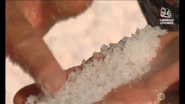 La récolte de la Fleur de Sel à Aigues-Mortes