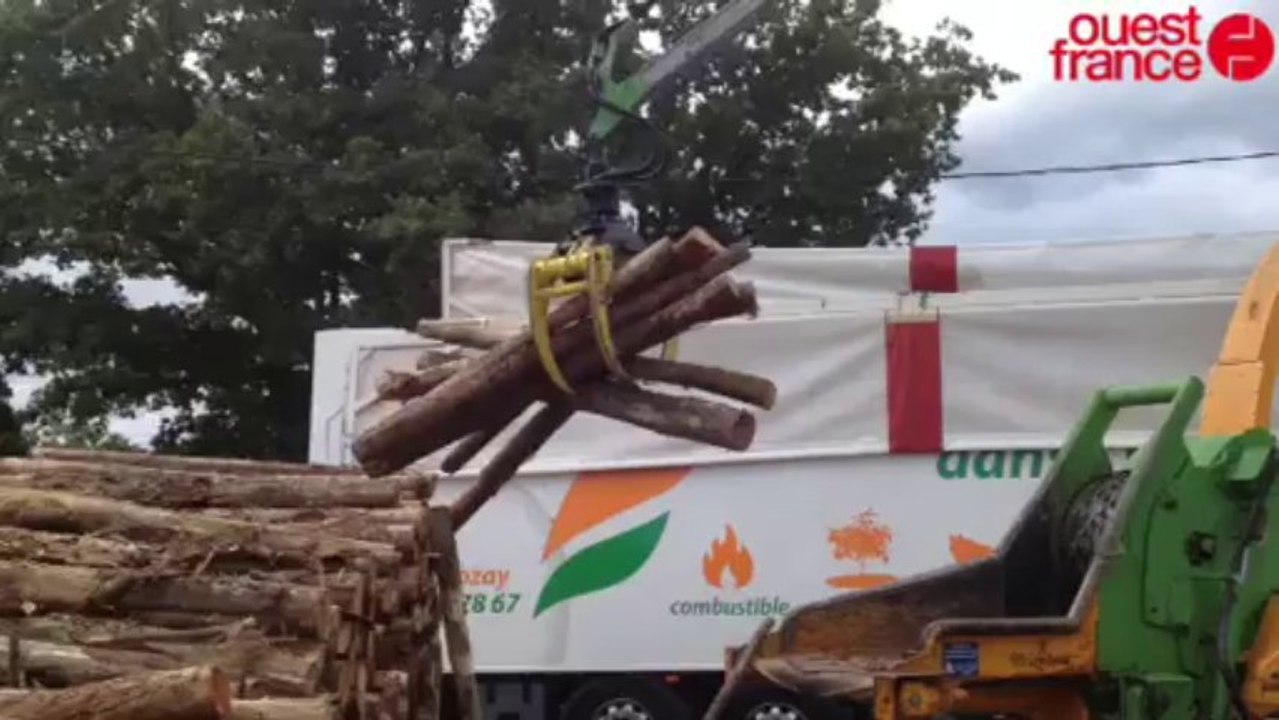 Le bois en vedette à la foire de Béré - Le bois...