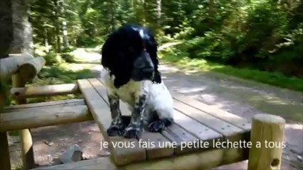 notre imbert coker anglais