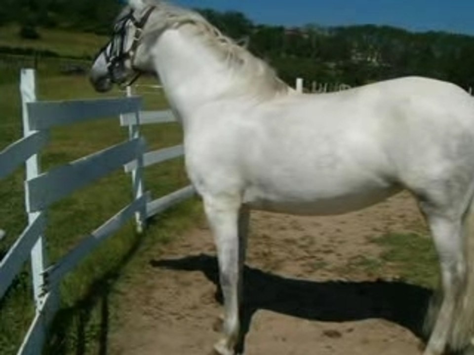 ma minoune
