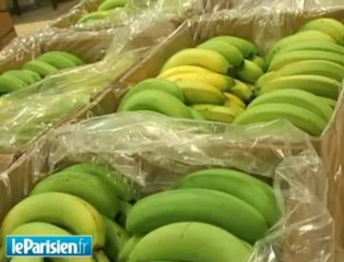 Aide alimentaire: la demande explose à Paris