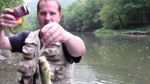 How to catch fish with a soda can without a rod