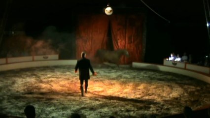 la magie du cheval  (la  boite magique )