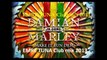 Skrillex & Damian Jr. Gong Marley - Make It Bun Dem ( EMRE TUNA Club mix 2013 )