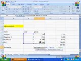 17- MS Excel 2007 Urdu Video Course Class 17 (Urdu Tutorial)