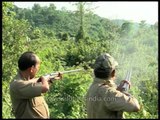 Firing at elephants, to chase them away from Assam tea gardens!