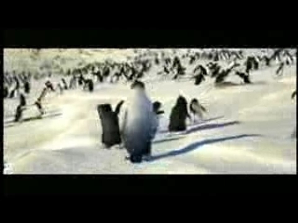 Happy Feet = Behind Scenes - Preview