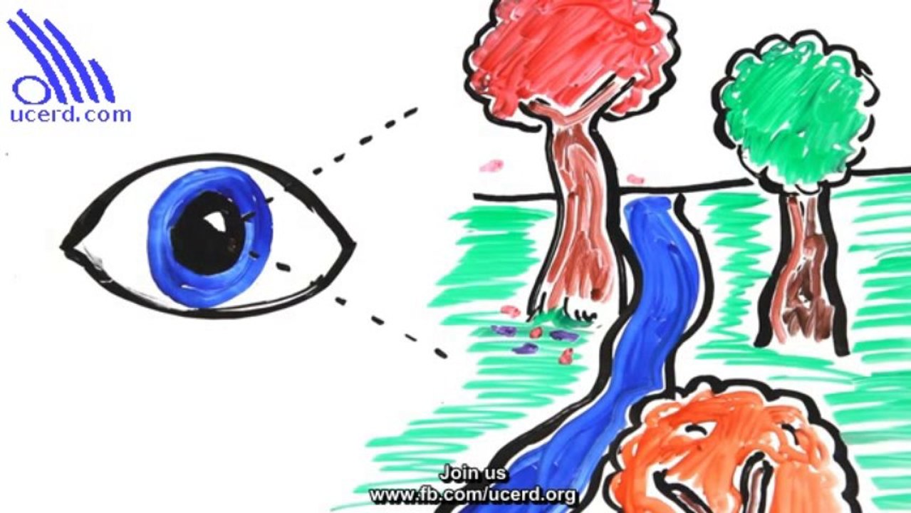 Can You Trust Your Eyes