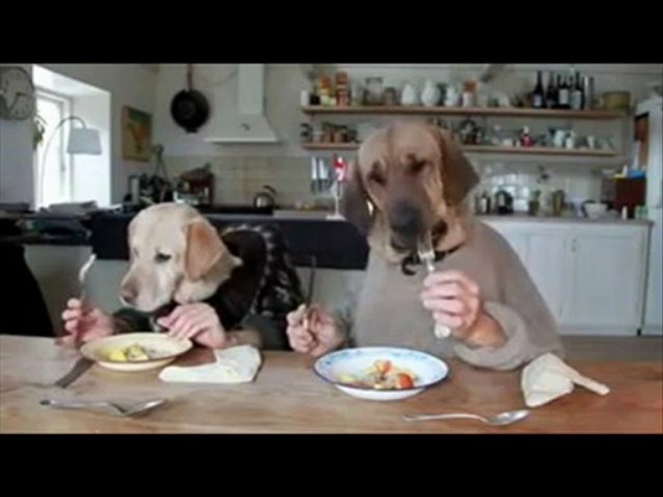 Dj CeFaKAR -- SATILIK DOSTLAR + 18 FENA