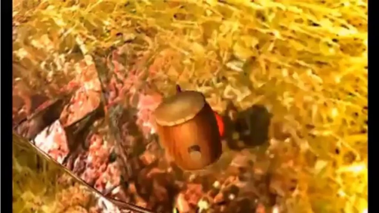 Mario & Luigi Quest in Monster Hunter 4 (Nintendo Direct)