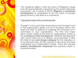 Magento platform for the best web design services