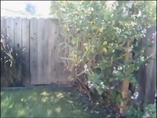 House for rent-Long Beach California