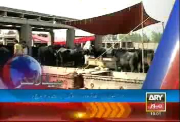 Headlines - 1600 - Saturday - Sept - 7 - 2013