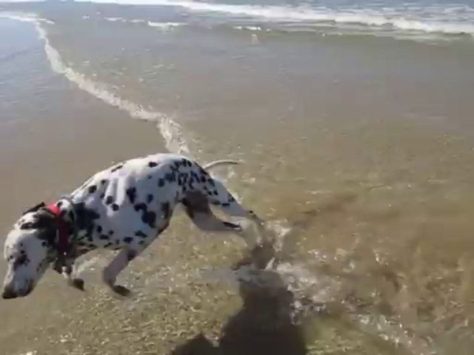 bianca plage