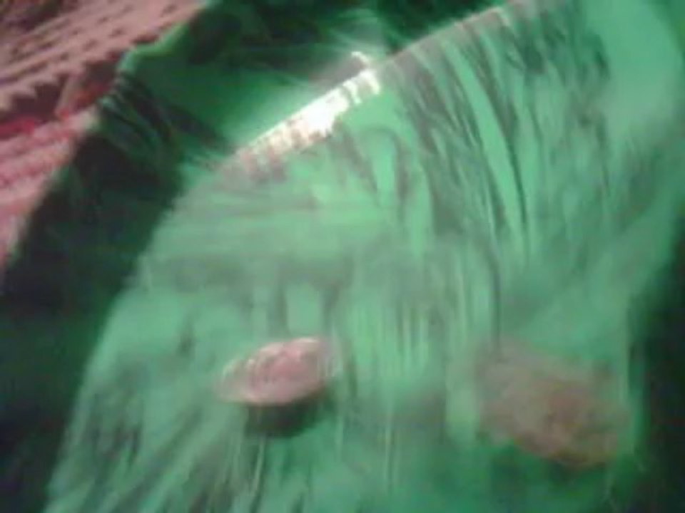 vari ares vs Samurai Ifrid