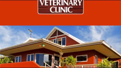 Looking For Spay Neuter & Puppies Shots Hospital In Wailea