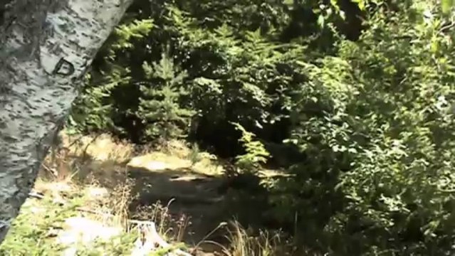 New01.mpg Lac de Malaguet Auvergne