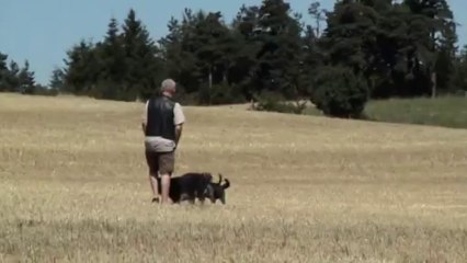 New01.mpg  Chadouard