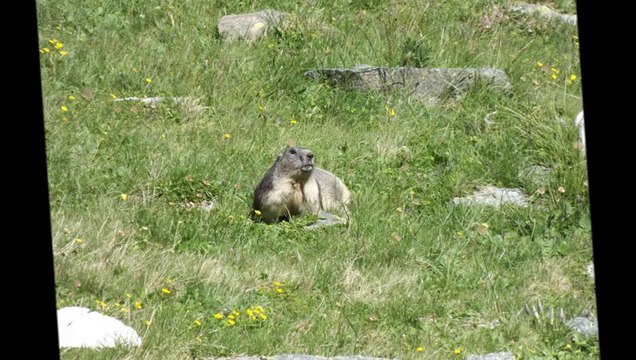 Tour des glaciers de la vanoise