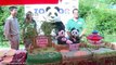 Zoo de Madrid celebra el cumpleaños de los osos panda