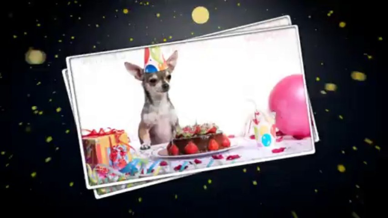 Best Birthday Gift - After Effects Template