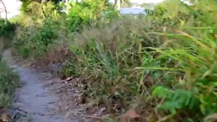 "Compelled by Love" Teaser Trailer