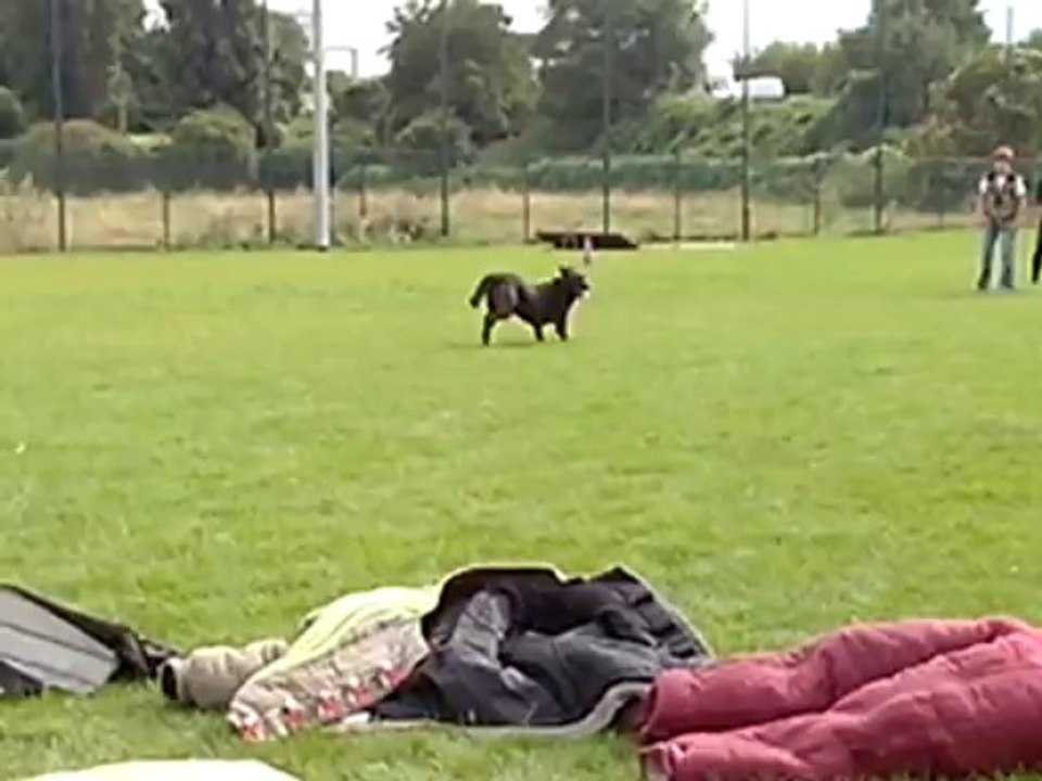 VID_20130907_163535