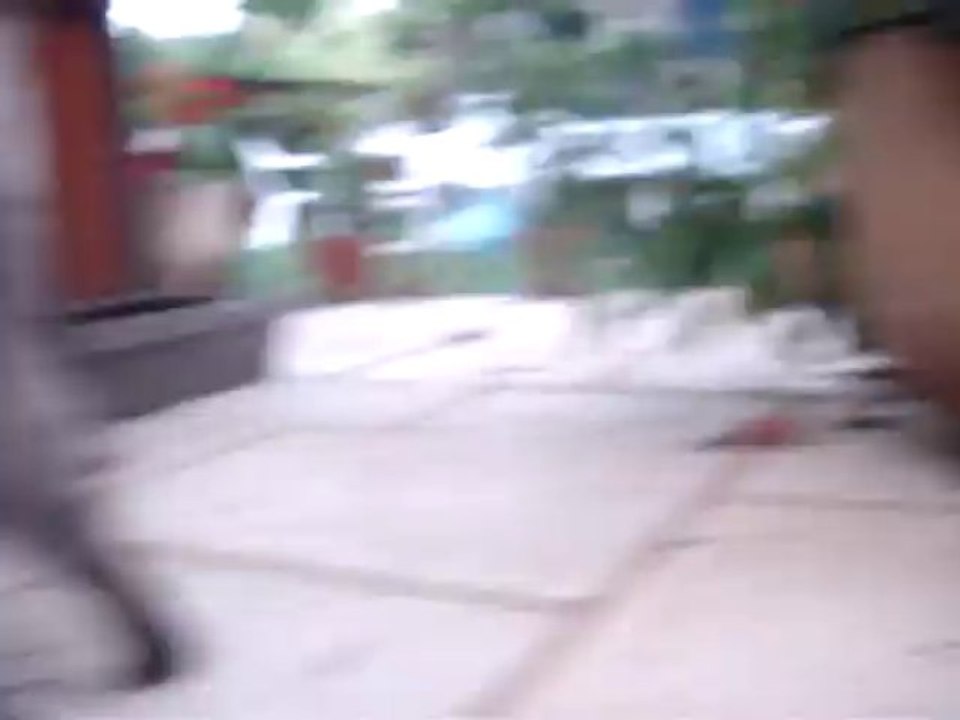 07 09 13 Ferguinette et Faustinette MOV06382 (1)