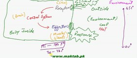 FSc Biology Book2, CH 15, LEC 1, Concept Of Homeostasis