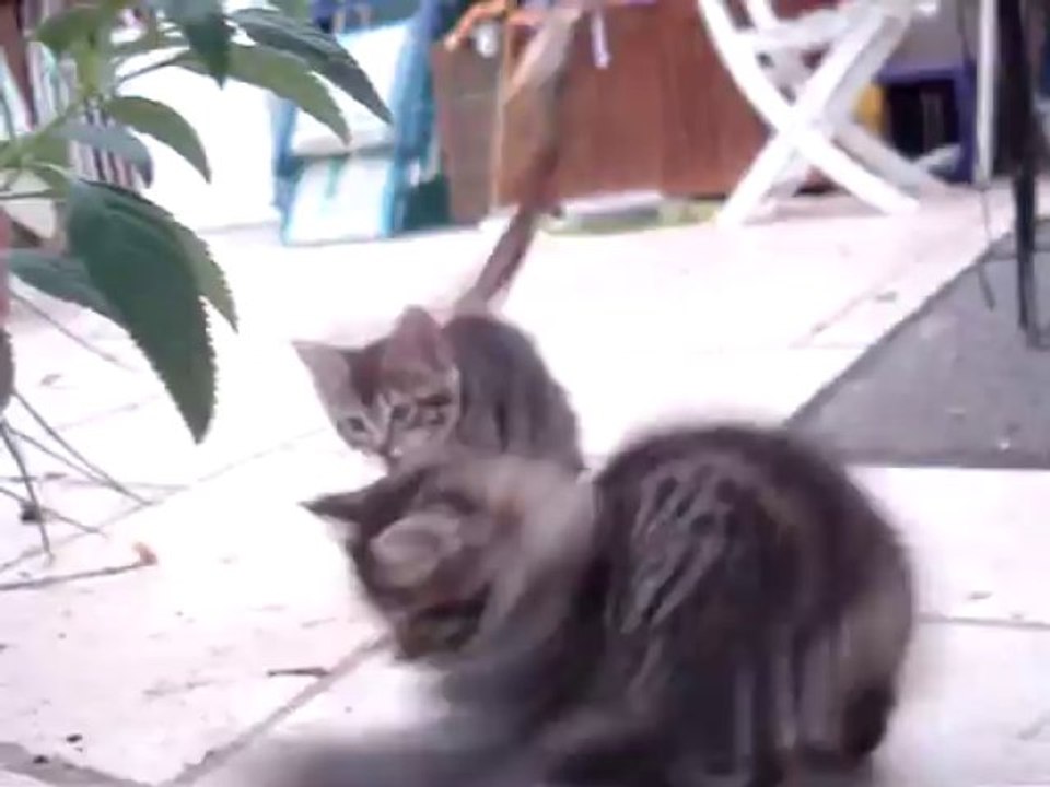 07 09 13 Faustinette ferguinette faustina fergie MOV06382 (4)