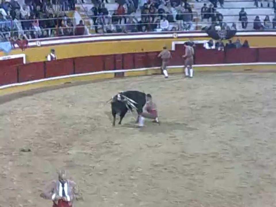 JOÃO SAMPAIO AMADORES DA  CHAMUSCA PEGA TOIRO NO CARTAXO