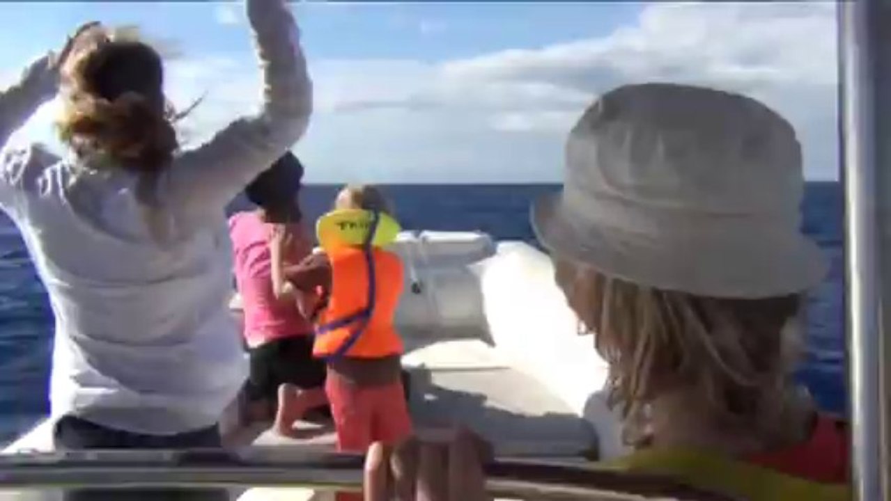 baleines Réunion sept c