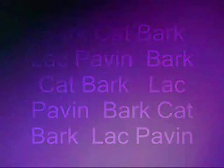 Bark Cat Bark...Lac Pavin