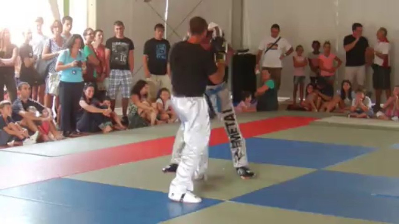 Demonstration de Full Contact au Salon des Sports 2013 (Aix en Provence)