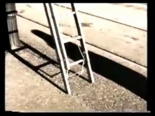 Maria Grazia Vai - Pesie di vetro