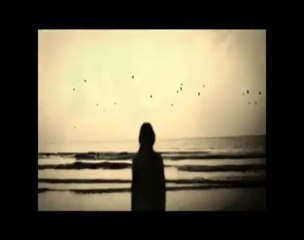 Maria Grazia Vai - Fili d'erba