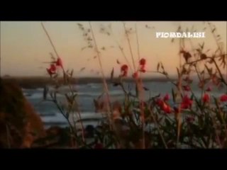 Maria Grazia Vai - Fiordalisi