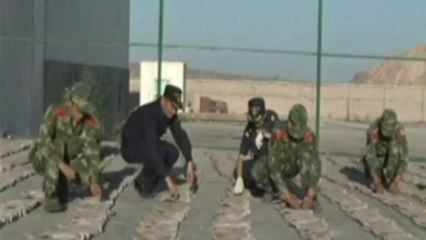 Antelope horns worth $22million seized in China