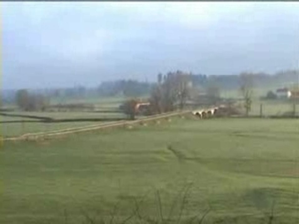 pele de Paray-le-Monial 2002
