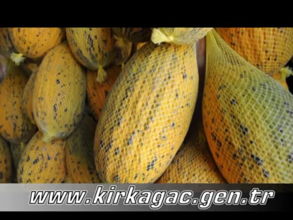 kavun_ihracaat