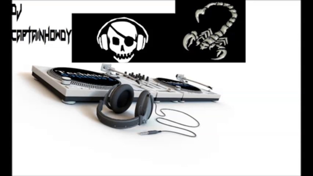 DJ CaptainHowdy pres. Seyo & Weal27-Plan Bitch & Weil Ich's Kann Mix 2013
