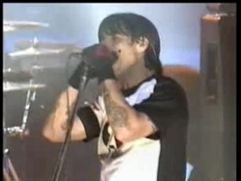 red hot chili peppers - cant stop