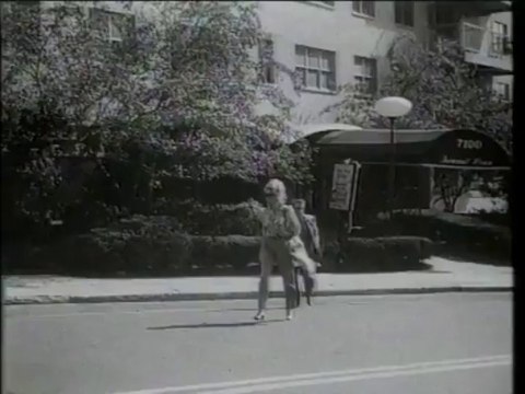 Broadway Danny Rose ( bande annonce VO )