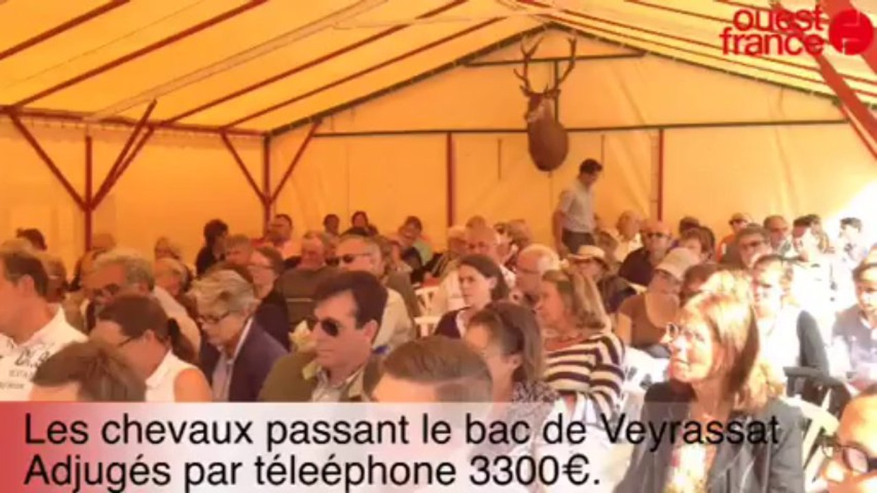 Vente aux enchères - Vente aux enchères