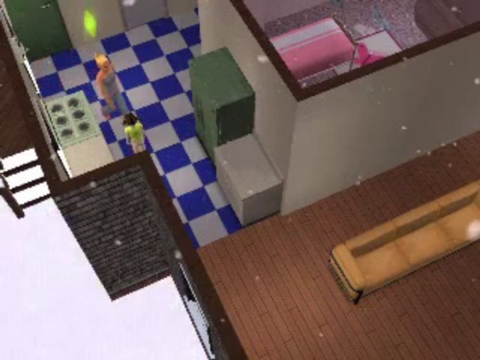 Social Worker Visit Gone Wrong