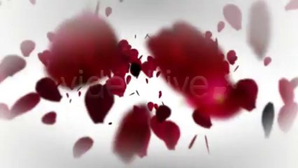 Romantic Logo and Text Reveal - After Effects Template