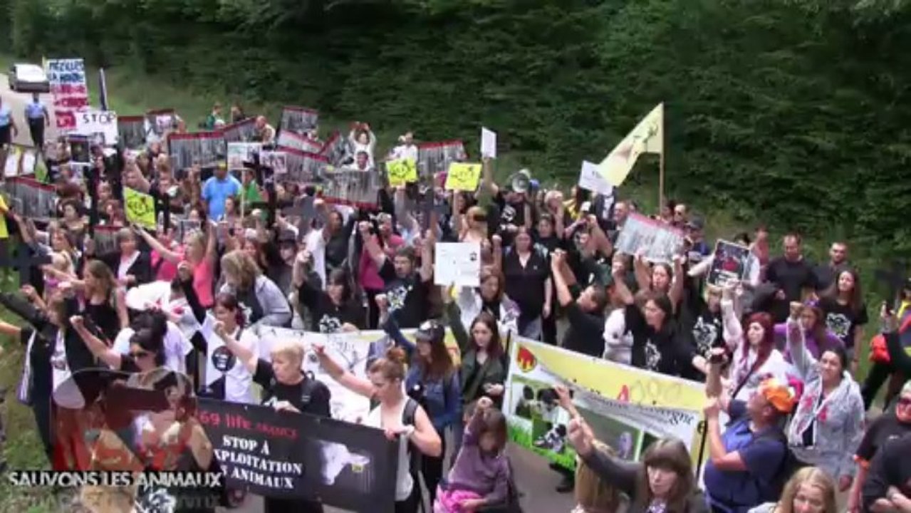 Manifestation anti vivisection devant l'élevage de chien de destiné aux labos (08.09.2013)